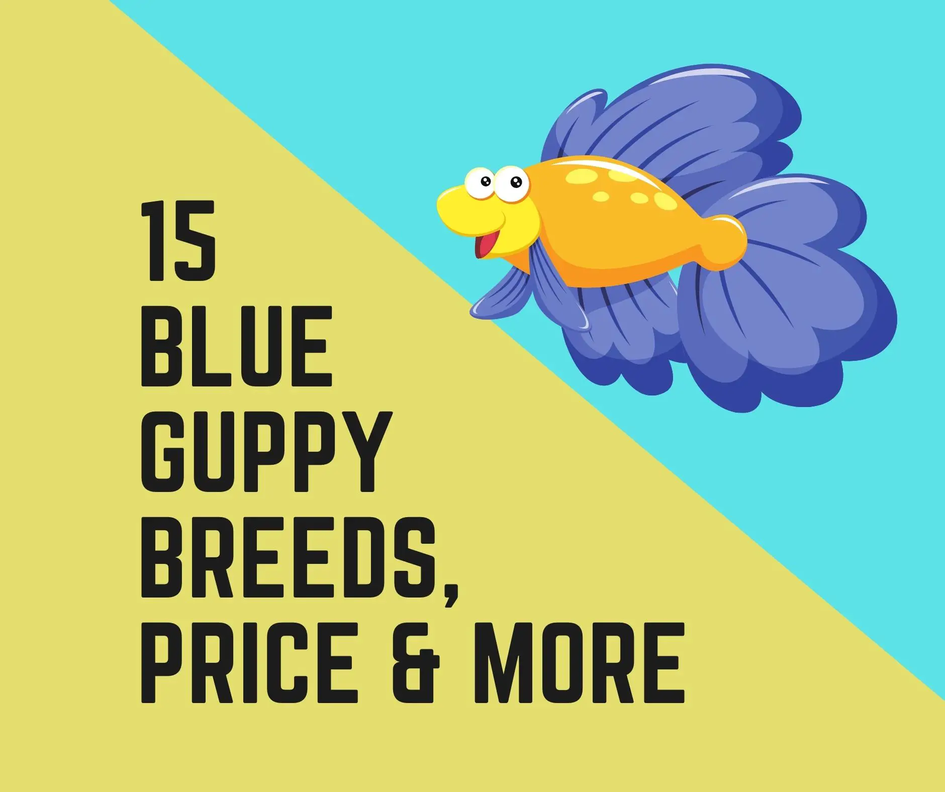 Blue Guppy Breeds and Price