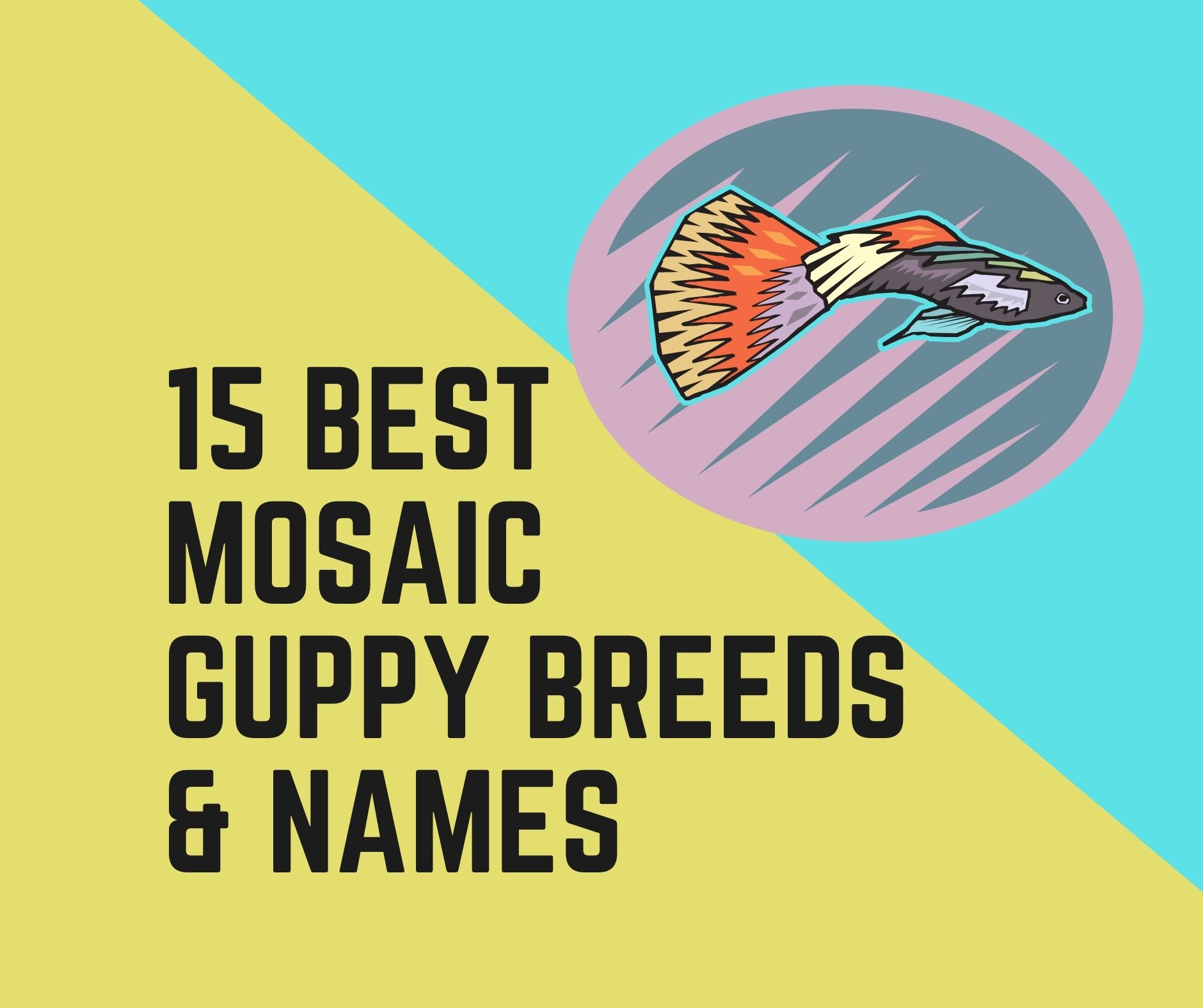 Mosaic Guppy Breeds and Names